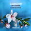 Cover Hey Sunshine (Antonio Giacca Remix)
