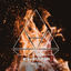 Cover Phoenix