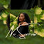 Cover No Sorrow
