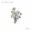 Cover Flowers