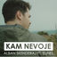 Cover Alban Skenderaj ft. Elinel - Kam nevoje