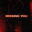 Cover Missing You