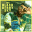 Cover Blackberry Sky