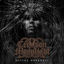 Cover Divine Darkness