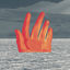 Cover Jelly