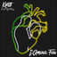 Cover L'amour fou (feat. Dj M'sy)