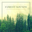 Cover Forest Sounds - Rain, Birds, Wind and Relaxing Music