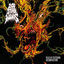 Cover Piles of Festering Decomposition