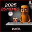 Cover 2025 in 25 MEMES (in 2:25)