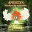 Cover Elixir