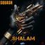 Cover Shalam