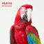Cover Pepito