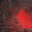 Cover the rot//rot