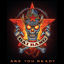 Cover Are You Ready