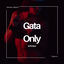 Cover Gata Only (Techengue) (Remix)