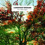 Cover Einaudi: In a time lapse