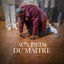 Cover Aux pieds du maître