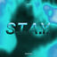 Cover S.T.A.Y.