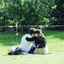 Cover A Kiss Dressed His Cheek