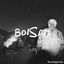 Cover Boisad