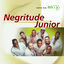 Cover Bis - Negritude Junior