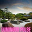 Cover LUMINOUS PULSE