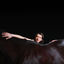 Cover Bring Me The Workhorse