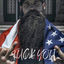 Cover Fuck You