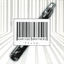 Cover Flute