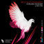 Cover Yoruba Riddim, Log On