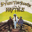 Cover From the Roots