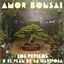 Cover Amor Bonsai