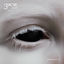 Cover 333