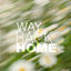 Cover Way Back Home