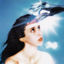 Cover Imaginal Disk