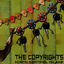 Cover North Sentinel Island