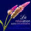 Cover La relaxation autoconcentrative - Collection bien-être, Détente, Musicothérapie pour améliorer qualité de vie, Pensée positive, Éq