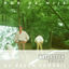 Cover De Regen Voorbij (Expanded Edition)