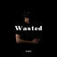 Cover Wasted