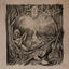 Cover Stave