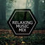 Cover Relaxing Music Mix