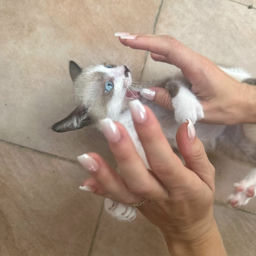 ''