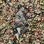Cover PEOPLE