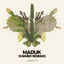 Cover Maduk Summer Remixes (Liquicity Presents)