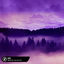 Cover Here