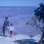 Cover Gramma Ruth at the Grand Canyon, 1964