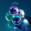 Cover Echoes