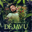 Cover Dejavu