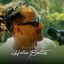 Cover Acústico Helio Bentes Vol. 2 (Acústica)