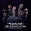 Cover Pegador de Boiadeira